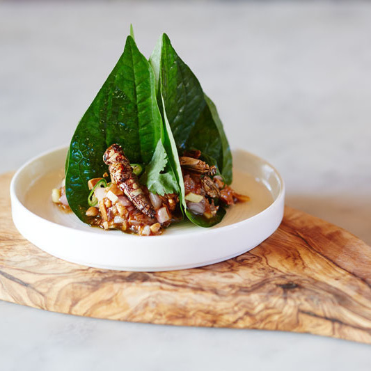 We had an absolute blast serving this at #wakehurst this weekend just gone #edibleinsects #protein #instafood #fresh #foodofthefuture