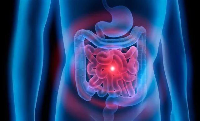 Gut health with insects
