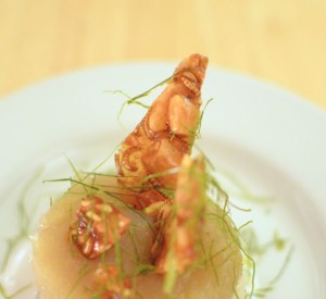 Buffalo Worm Praline