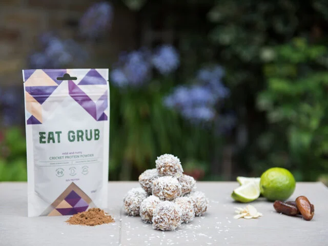 cricket powder or cricket flour or cricket protein powder - coconut and lime protein balls