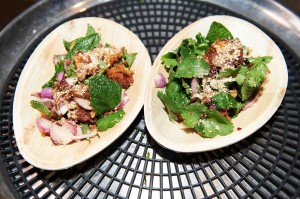 Spicy Mealworm Rice Cakes