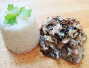 cricket & mushroom stroganoff