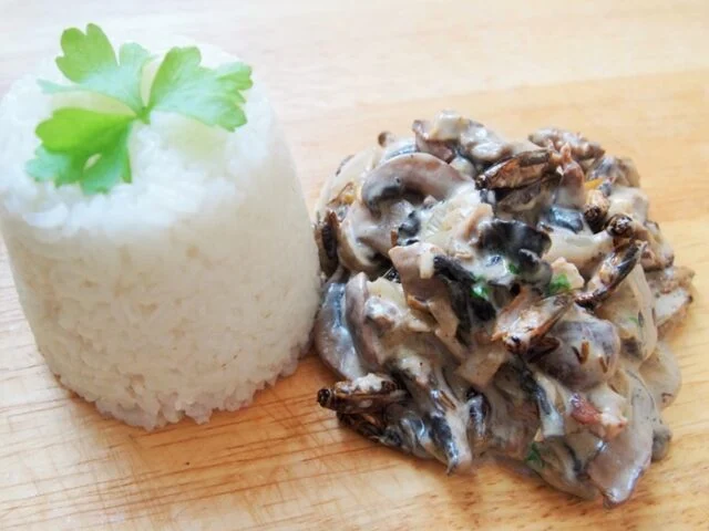 cricket & mushroom stroganoff