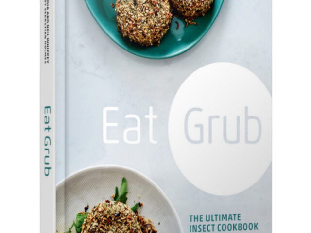 insect cook book