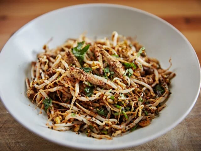 spicy grasshoppers with beansprouts