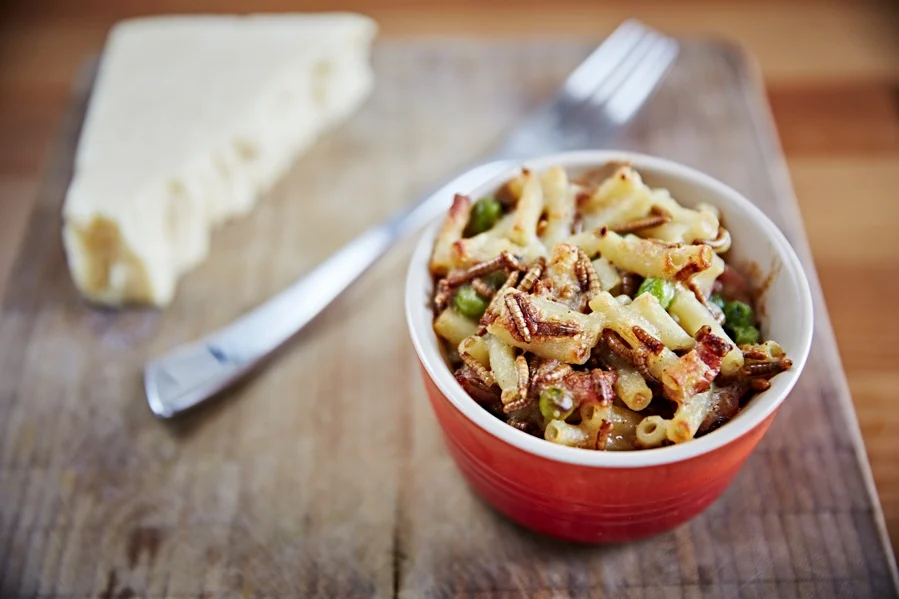 buffalo worm macaroni cheese